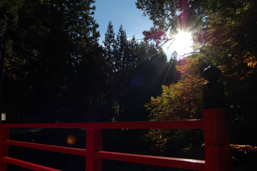 弓手原の写真23